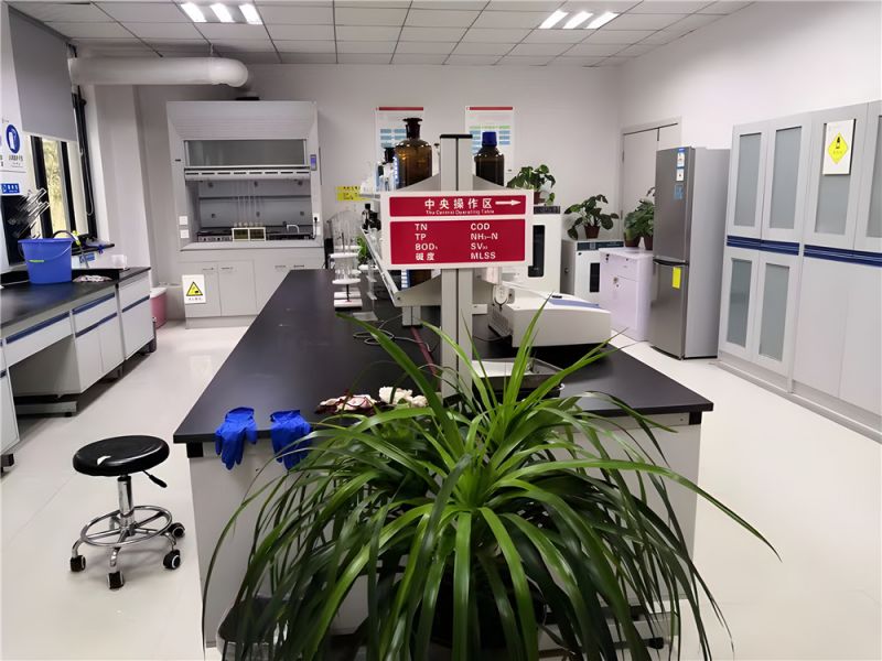 步履堅(jiān)定，共繪高質(zhì)量發(fā)展新篇章