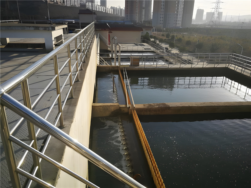 復(fù)合碳源具有哪些重要作用？